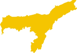 Assam mapa TEE.SK