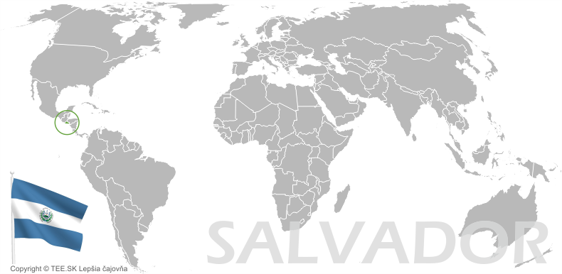Mapa Salvador banner