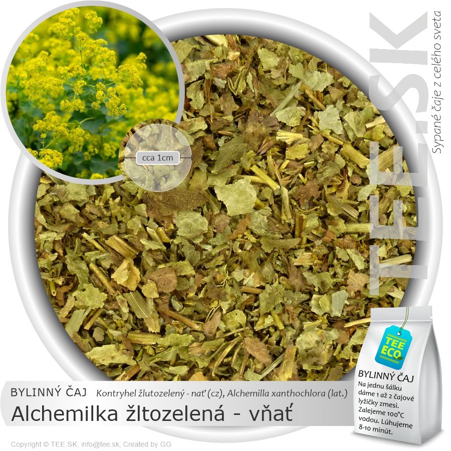 BYLINNÝ ČAJ Alchemilka žltozelená – vňať (1kg)