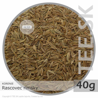 KORENIE Rascovec rímsky (40g)