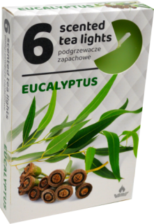 ČAJOVÉ SVIEČKY Eukalyptus (Eucalyptus) – 6ks