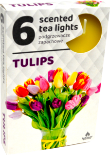 ČAJOVÉ SVIEČKY Tulips – 6ks
